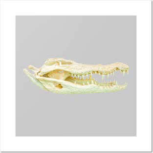 Nile Crocodile Skull Posters and Art